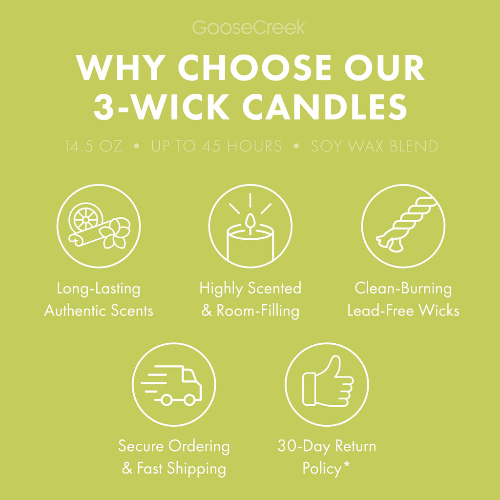 Honeydew Melon 3-Wick Candle